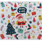 Santa is Here