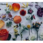Bouquet Cloth