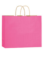 Matte Color Twisted Paper Handle Shopper |16x6x13| - Flexo Ink - Image 4