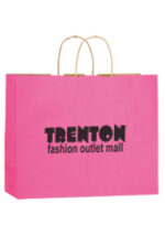 Matte Color Twisted Paper Handle Shopper |16x6x13| - Foil Stamp - Image 4
