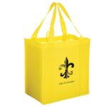Heavy Duty Non-Woven Grocery Tote Bag with Insert |12x8x13| - Screen Print - Image 18